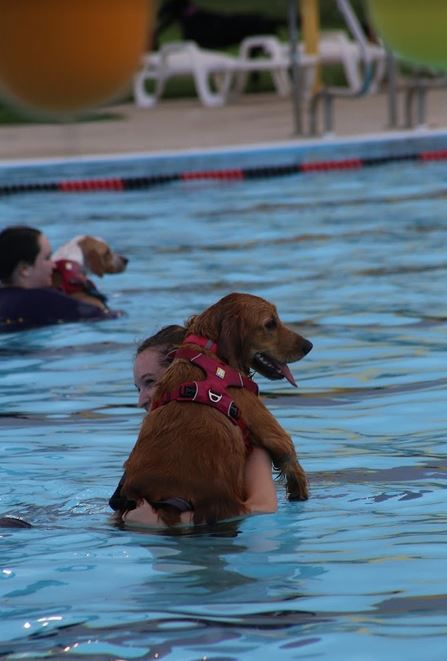 082318ho-doggie-dip-9